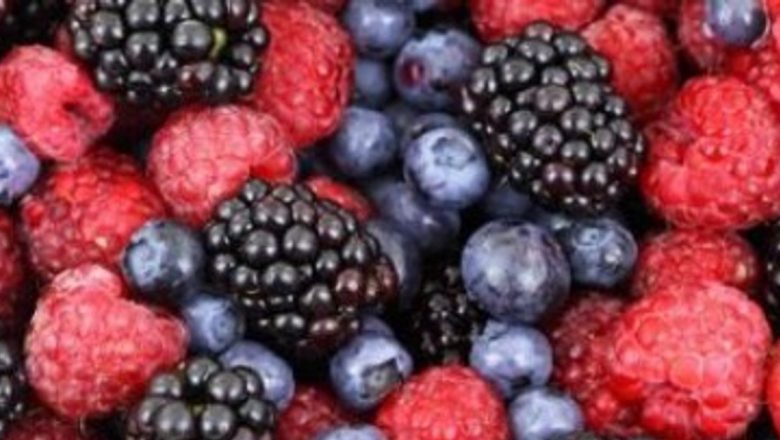 Antioxidanții și Impactul Lor Asupra Prevenirii Cancerului Pancreatic: O Analiză Detaliată