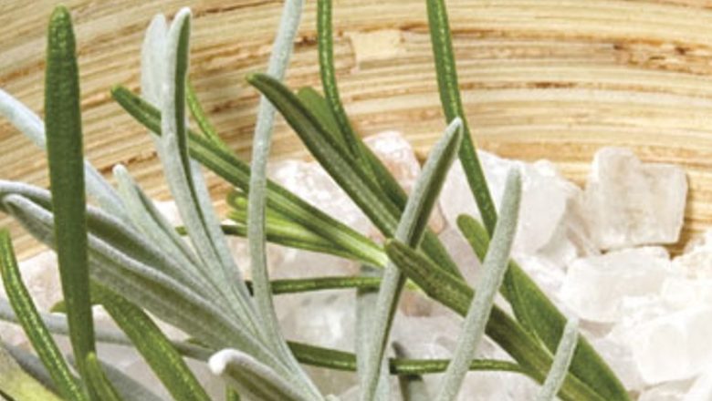 Plantele Medicinale: O Analiză Detaliată a Trei Remedii Naturale Eficiente