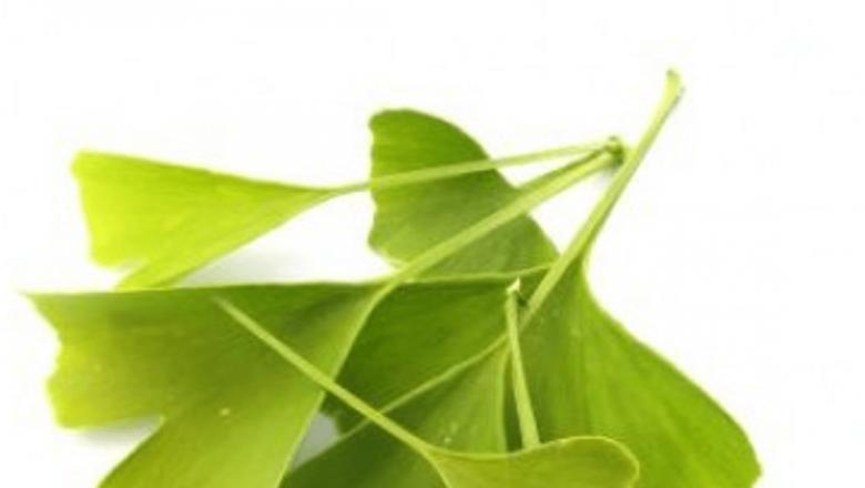 Ginkgo Biloba: Mituri și Realități în Prevenția Alzheimerului