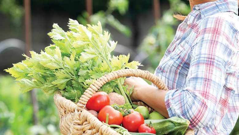 Roşiile: Superalimentele Toamnei Plină de Vitamina C