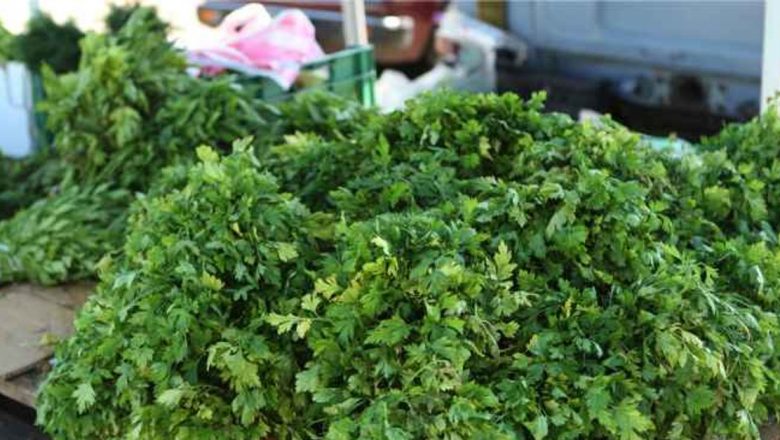 Pătrunjelul: Miracolul Verde al Sănătății în Orice Anotimp