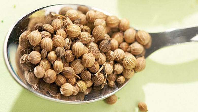 Condimentele: Medicamente Naturale pentru Sănătate și Prevenirea Bolilor