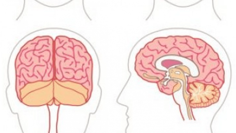 Impactul fumatului asupra sănătății creierului după un accident vascular cerebral: O analiză profundă