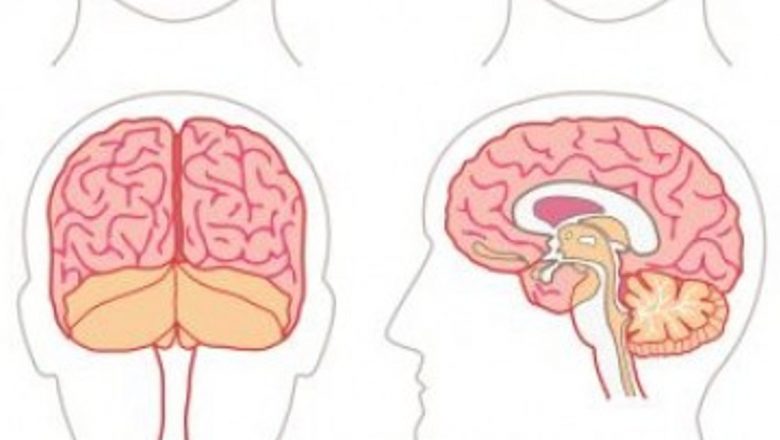 Impactul fumatului asupra creierului după un accident vascular cerebral: O analiză detaliată