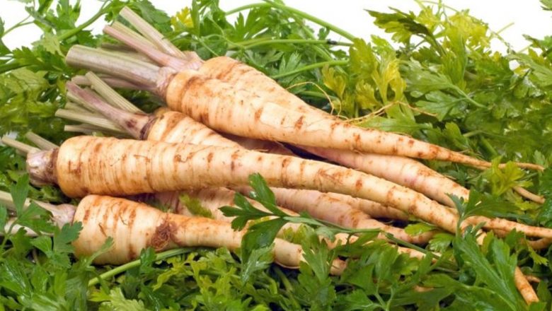 Descoperirea puterii vindecătoare a păstârnacului: Beneficii, utilizări și rețete