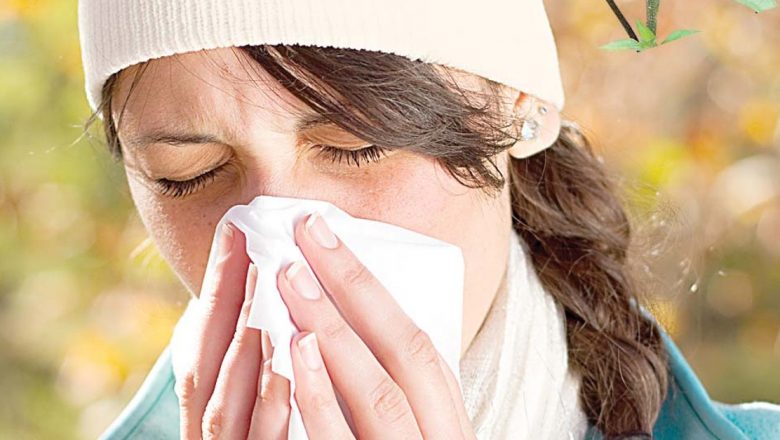 Echinacea: Un Aliat Natural Împotriva Răcelii și Gripelor în Sezonul Rece
