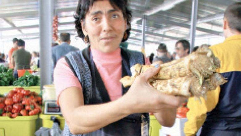 Hreanul: Un Remediu Natural Eficient pentru Tuse și Nu Nu Numai