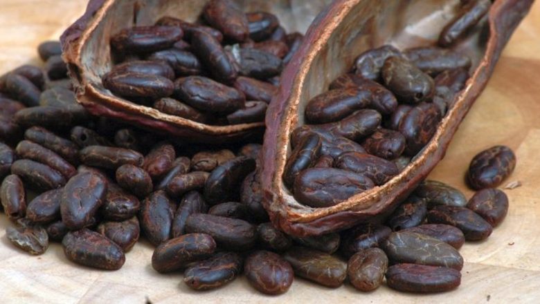 Cacaua: Un Remediu Natural pentru Hipertensiune? Analiză a Beneficiilor și Implicațiilor