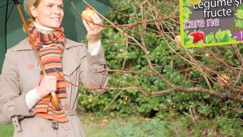 Gutuile: Fructe de leac pentru un stomac leneș și nu numai