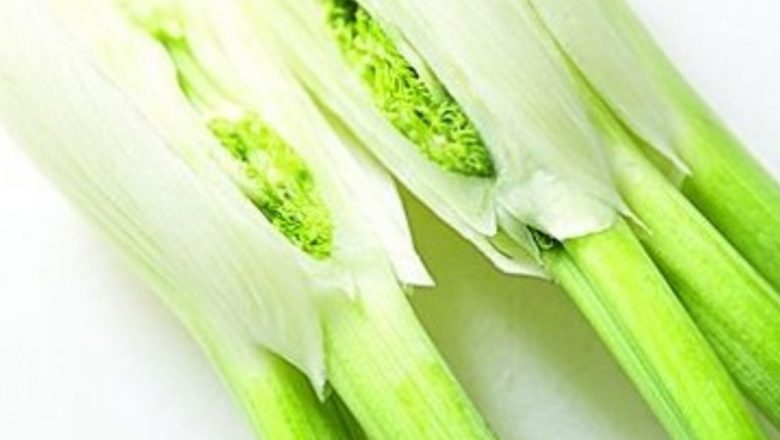 Plantele care îți împrospătează respirația: Beneficii și utilizări