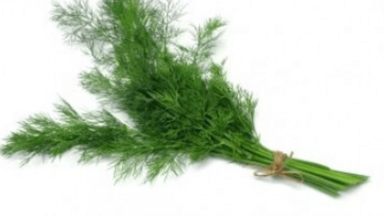 Puterea plantelor: Cum hormonii naturali din năprasnicul, mărarul și mugurii de zmeur pot influența sănătatea hormonală