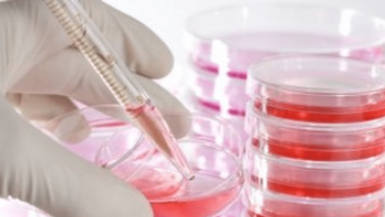 Bacteriile rezistente la antibiotice: O amenințare globală în expansiune