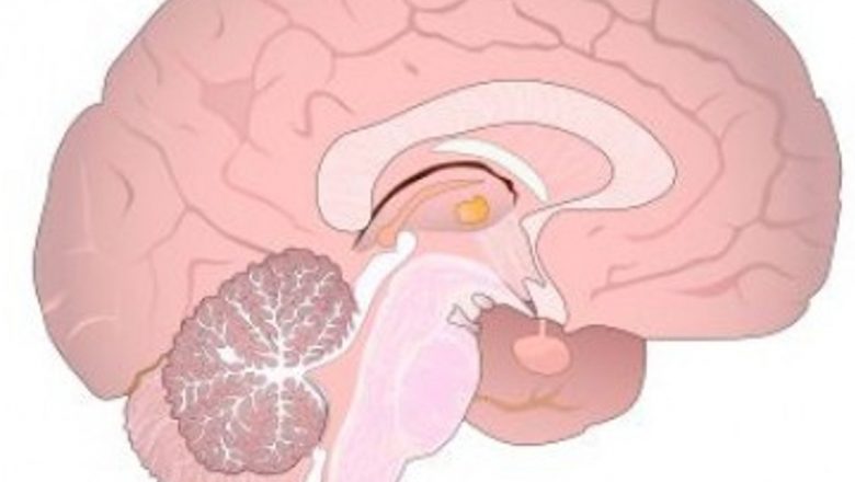 Ziua Internațională a Epilepsiei: Conștientizare, Provocări și Perspective de Viitor