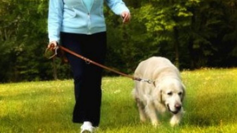 Mersul pe Jos: O Armă Eficientă Împotriva Accidentului Vascular Cerebral la Femei