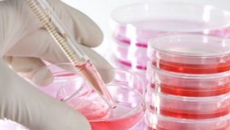 Bacteriile Rezistente la Antibiotice: O Amenințare Globală în Expansiune