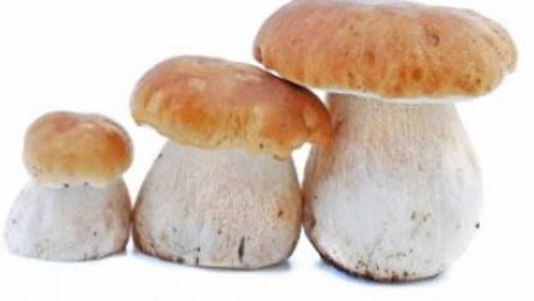 Alternative sănătoase la carne: Beneficiile alimentelor vegetale în dieta noastră