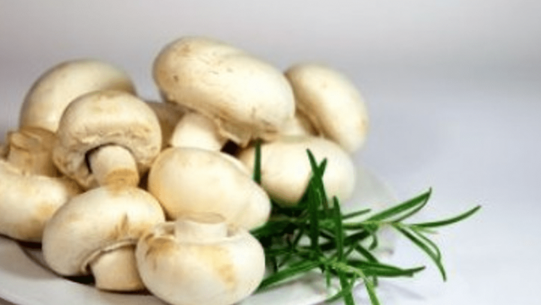Beneficiile Vitaminei D din Ciuperci: O Alternativă Sănătoasă la Suplimente