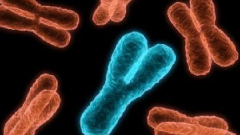 Legătura între hormonii masculini și cancerul mamar: O descoperire revoluționară în oncologie