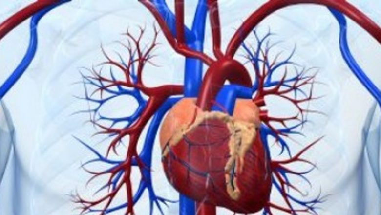 Impactul Tromboembolismului Venos: O Problemă de Sănătate Publică în Uniunea Europeană