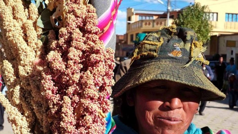 Quinoa: Super-alimentul care transformă dieta globală