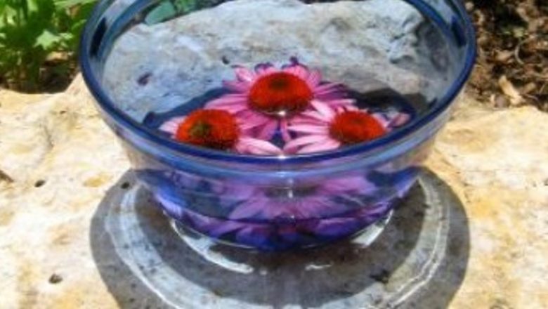 Terapia florală: Cum florile ne pot ajuta să ne gestionăm emoțiile