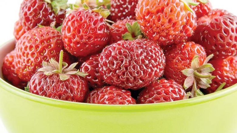 Căpșunele: Superfructul bogat în vitamina C și beneficiile sale asupra sănătății și frumuseții