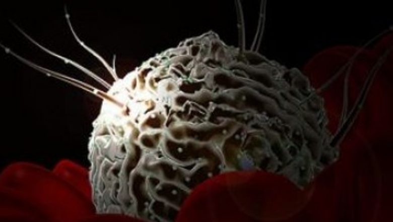 Inovații promițătoare în terapia cancerului: Reprogramarea celulelor stem pentru un război mai eficient împotriva tumorilor
