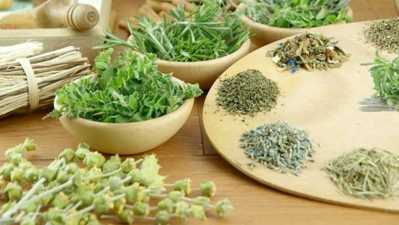 Condimentele tinereții: Salvia, Busuiocul și Scorțișoara ca Aliați ai Sănătății