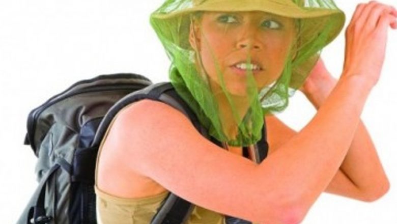 Ghid complet pentru a face față înțepăturilor de insecte: prevenție, tratament și măsuri de siguranță