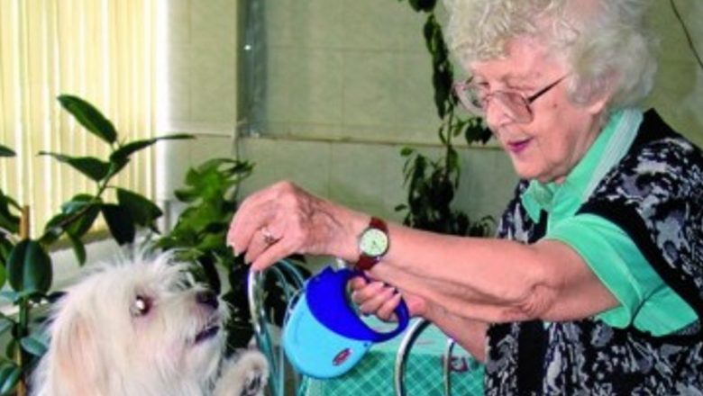 Câinii, cei mai buni «terapeuţi»: Impactul terapiei asistate de animale asupra vârstnicilor