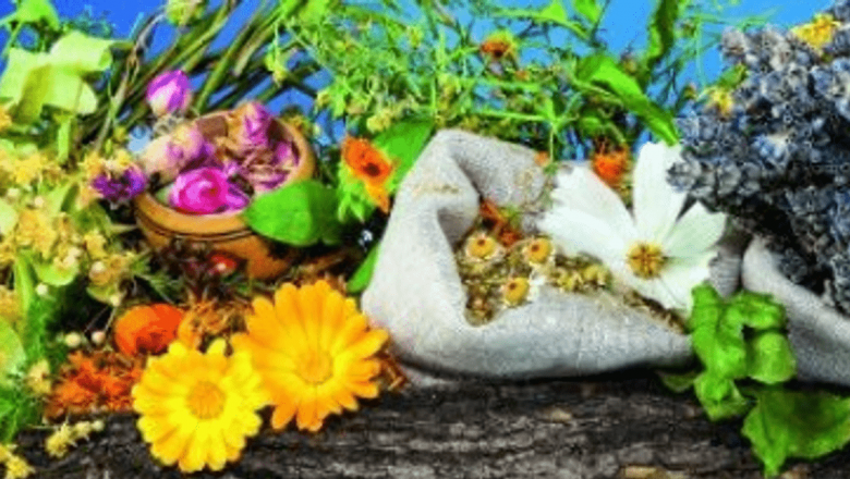 Secretele Preparării și Păstrării Leacurilor Naturale: Cum să Îți Umpli Cămara cu Sănătate