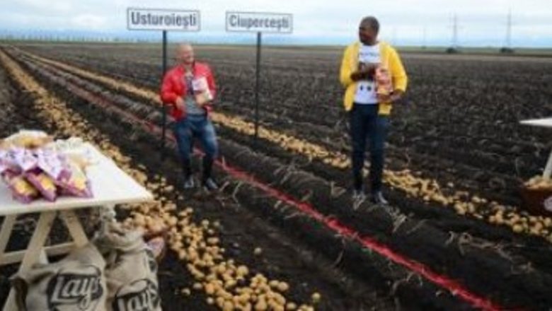 Duelul aromelor de sezon Lay’s: Puya și Cabral, o competiție delicioasă și provocatoare