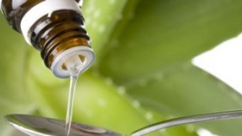 Stevia: Îndulcitorul Natural și Sustenabil al Viitorului