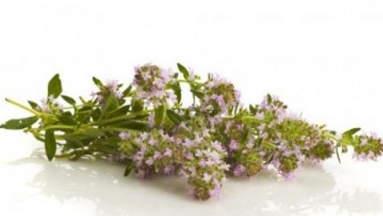 Plantele medicinale: Remedii naturale eficiente împotriva tusei