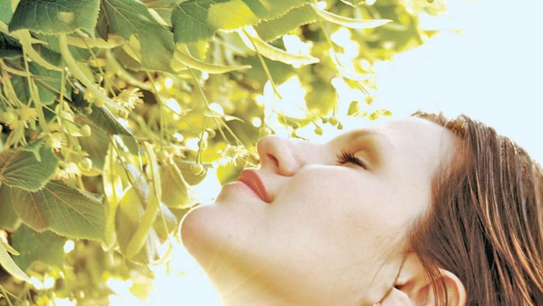 Remedii naturale pentru bila leneșă: cum să îmbunătățim sănătatea hepatică prin metode tradiționale