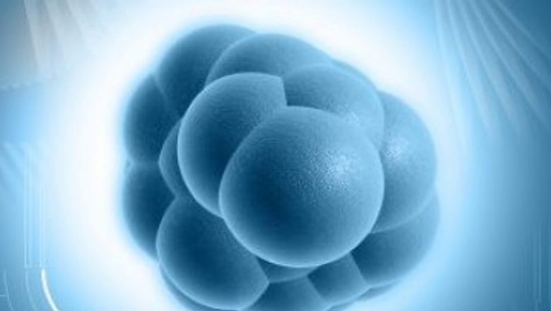 Descoperirea celulelor stem în ovare: O revoluție în medicina reproductivă și o nouă speranță pentru viitor