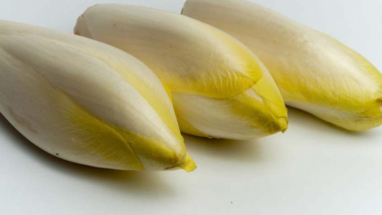 Andivele: Superalimentele Iernii pentru Sănătate și Detoxifiere