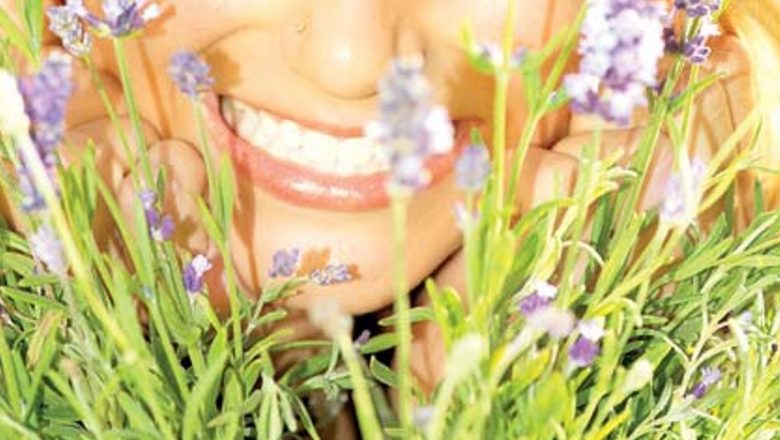Plantele miraculoase: 6 specii cu beneficii extraordinare pentru sănătate