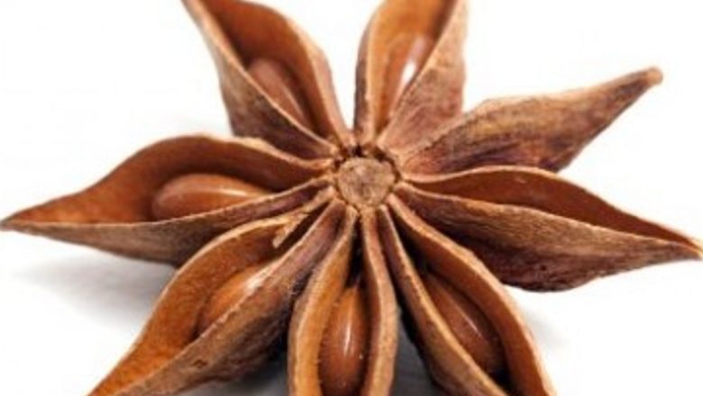 Plantele Care Îți Revitalizează Viața: Soluții Naturale Împotriva Oboselii