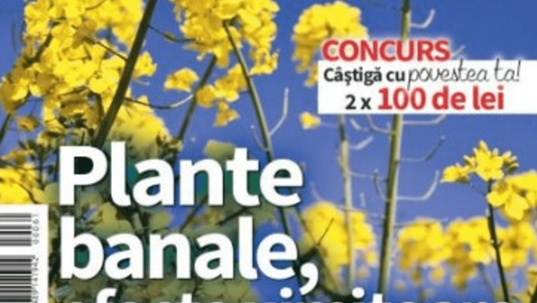 Revista Click! Sănătate: O Nouă Era în Informațiile despre Sănătate