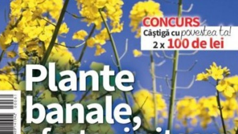 Revista Click! Sănătate: O Nouă Era în Informarea Despre Sănătate