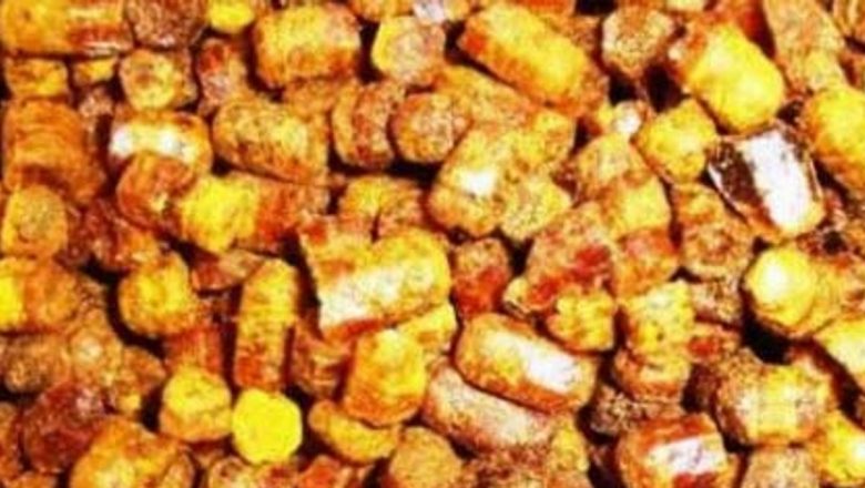 Păstura pură: Remediul natural care învinge afecțiunile grave