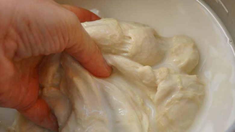 Seitanul: O Proteină Vegetală Versatilă și Benefică pentru Dieta Modernă