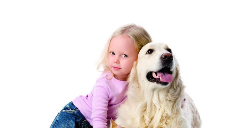 Riscurile ascunse ale animalelor de companie: Ce trebuie să știm pentru sănătatea copiilor noștri