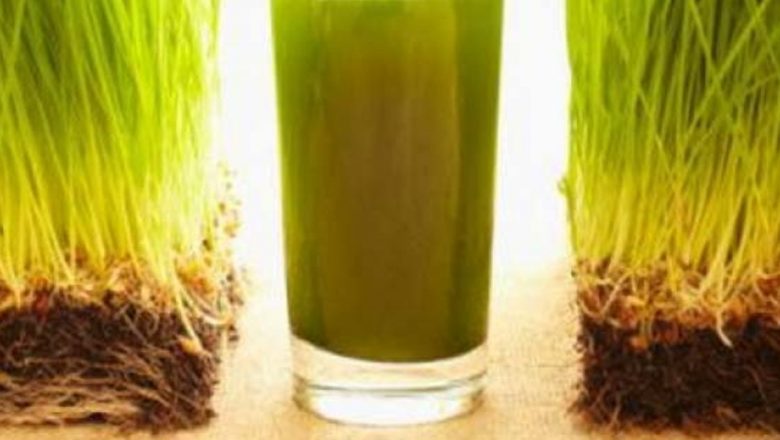 Sucul de Orz Verde: Un Nou Aliat în Combaterea Schizofreniei?