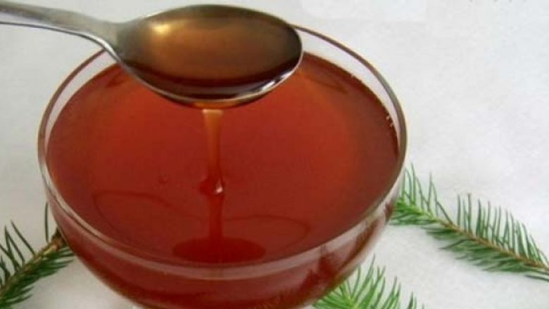 Gemoterapia: O Apropiere Modernă de Vindecare prin Muguri