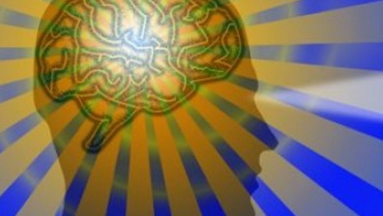 Impactul alimentației bogate în grăsimi asupra structurii cerebrale: O analiză detaliată a studiului canadian