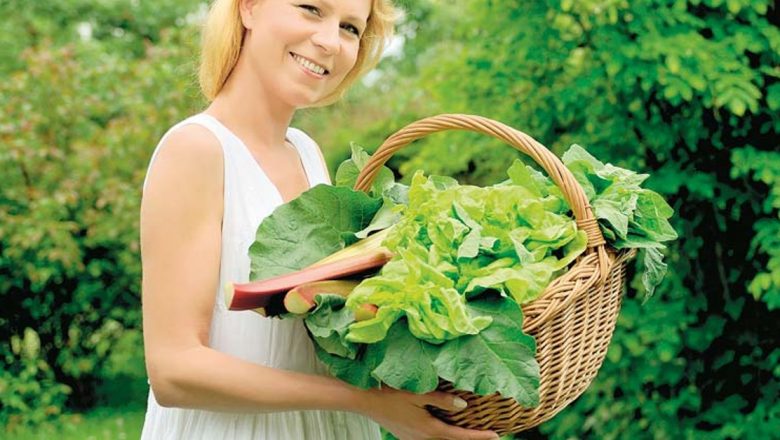Puterea Verde: Leacuri Naturale din Verdețurile de Primăvară