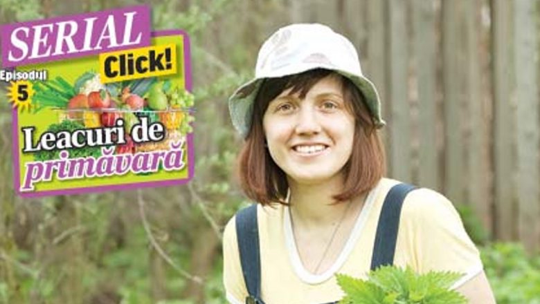 Frunzele de Urzică: Remediu Natural pentru Reumatism și Nu Numai