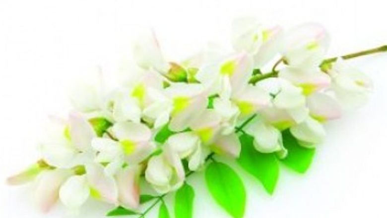Terapiile alternative în recuperarea după accidentul vascular: o abordare holistică